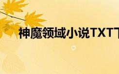 神魔领域小说TXT下载（神魔领域txt）