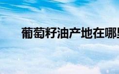 葡萄籽油产地在哪里（葡萄籽油产地）