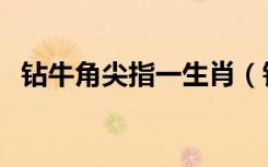 钻牛角尖指一生肖（钻牛角尖是什么生肖）