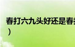 春打六九头好还是春打五九尾好（春打六九头）