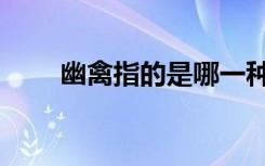幽禽指的是哪一种鸟（幽禽指的是）