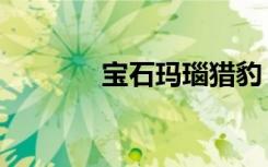 宝石玛瑙猎豹（红宝石猎豹）