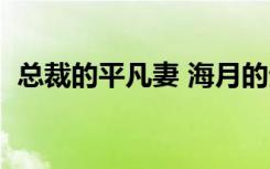 总裁的平凡妻 海月的生活（总裁的平凡妻）