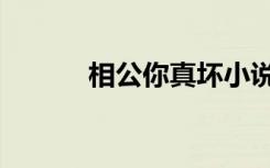 相公你真坏小说（相公你真坏）