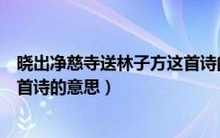 晓出净慈寺送林子方这首诗的意思（晓出净慈寺送林子方这首诗的意思）