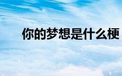 你的梦想是什么梗（你的梦想是什么）