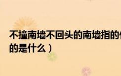 不撞南墙不回头的南墙指的什么（不撞南墙不回头的南墙指的是什么）
