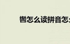 辔怎么读拼音怎么写（辔怎么读）