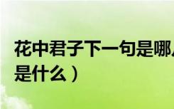 花中君子下一句是哪几个字（花中君子下一句是什么）