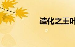 造化之王叶真（造化）