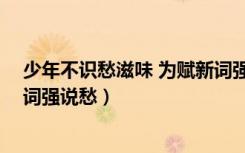 少年不识愁滋味 为赋新词强说愁（少年不知愁滋味 为赋新词强说愁）