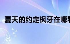 夏天的约定枫牙在哪看（夏天的约定 枫牙）