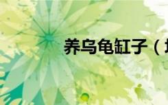 养乌龟缸子（坛子里养乌龟）