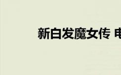 新白发魔女传 电视剧（新白发）