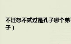 不迁怒不贰过是孔子哪个弟子（不迁怒不贰过是孔子哪位弟子）