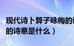 现代诗卜算子咏梅的诗意是什么（卜算子咏梅的诗意是什么）