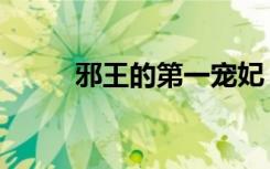 邪王的第一宠妃（王的无邪宠妃）