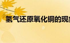 氢气还原氧化铜的现象（氢气还原氧化铜）