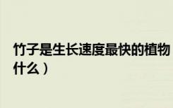 竹子是生长速度最快的植物（竹子是生长速度最快的植物为什么）