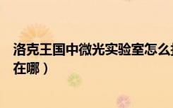 洛克王国中微光实验室怎么找魔法石（洛克王国微光实验室在哪）