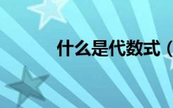 什么是代数式（什么是代数式）