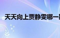 天天向上贾静雯哪一期（天天向上贾静雯）