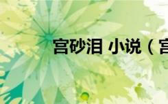 宫砂泪 小说（宫砂泪全文阅读）