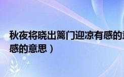 秋夜将晓出篱门迎凉有感的意思是（秋夜将晓出篱门迎凉有感的意思）