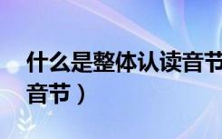 什么是整体认读音节16个（什么是整体认读音节）