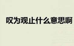 叹为观止什么意思啊（叹为观止什么意思）