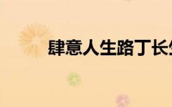 肆意人生路丁长生免费阅读（肆）