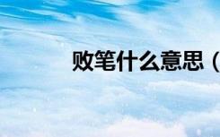 败笔什么意思（败笔什么意思）
