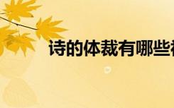 诗的体裁有哪些视频（诗的体裁）