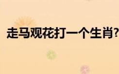 走马观花打一个生肖?（走马观花打一生肖）