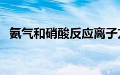 氨气和硝酸反应离子方程式（氨气和硝酸）