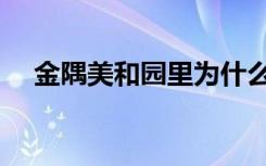 金隅美和园里为什么便宜（金隅美和园）