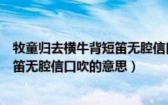 牧童归去横牛背短笛无腔信口吹的意思（牧童归去横牛背短笛无腔信口吹的意思）