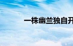 一株幽兰独自开（独占幽兰心）