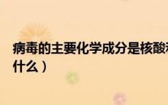 病毒的主要化学成分是核酸和什么（病毒的主要化学成分是什么）