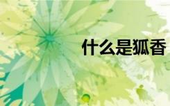 什么是狐香（狐色生香）