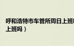 呼和浩特市车管所周日上班吗（呼和浩特市车辆管理所周六上班吗）