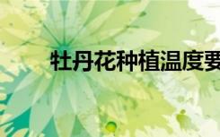 牡丹花种植温度要求（牡丹花种植）