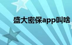 盛大密保app叫啥（盛大密保服务号）