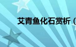 艾青鱼化石赏析（艾青鱼化石赏析）
