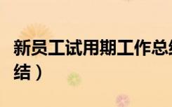 新员工试用期工作总结怎么写（实习期工作总结）