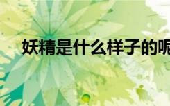 妖精是什么样子的呢（妖精是什么意思）