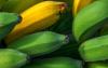 香蕉茎汁是治疗糖尿病的潜在自然疗法