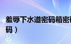 羞辱下水道密码箱密码（羞辱下水道保险箱密码）