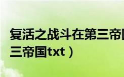 复活之战斗在第三帝国结局（复活之战斗在第三帝国txt）