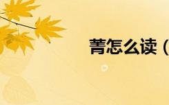 菁怎么读（菁怎么读）